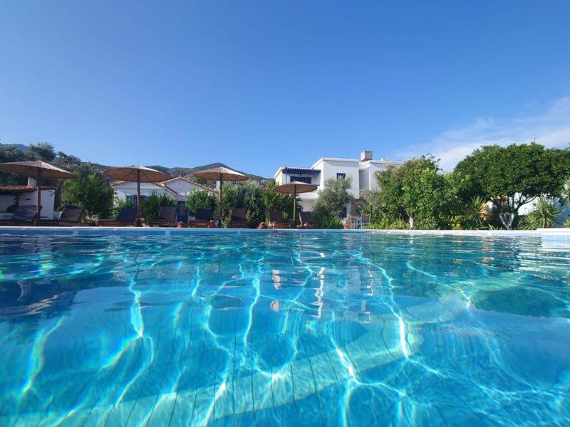uma grande piscina com água azul em Anastasia Apartments em Kámpos