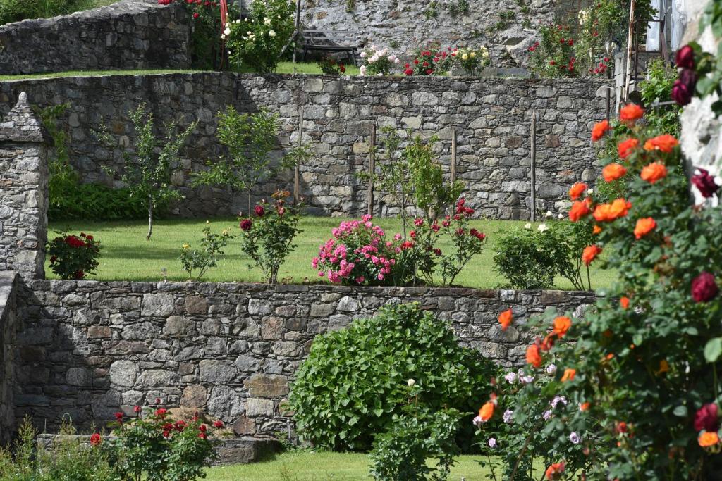 San BernardoにあるLa Rosa al Roseto del Dragoの庭の花の石壁