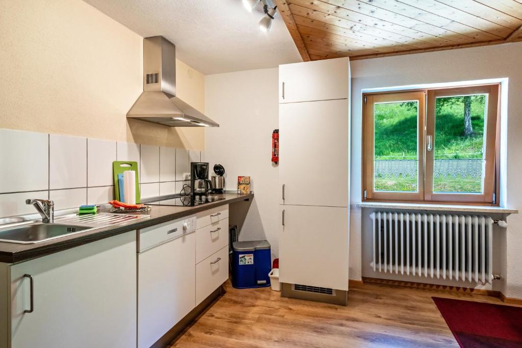 Kuchyň nebo kuchyňský kout v ubytování Balzerberg
