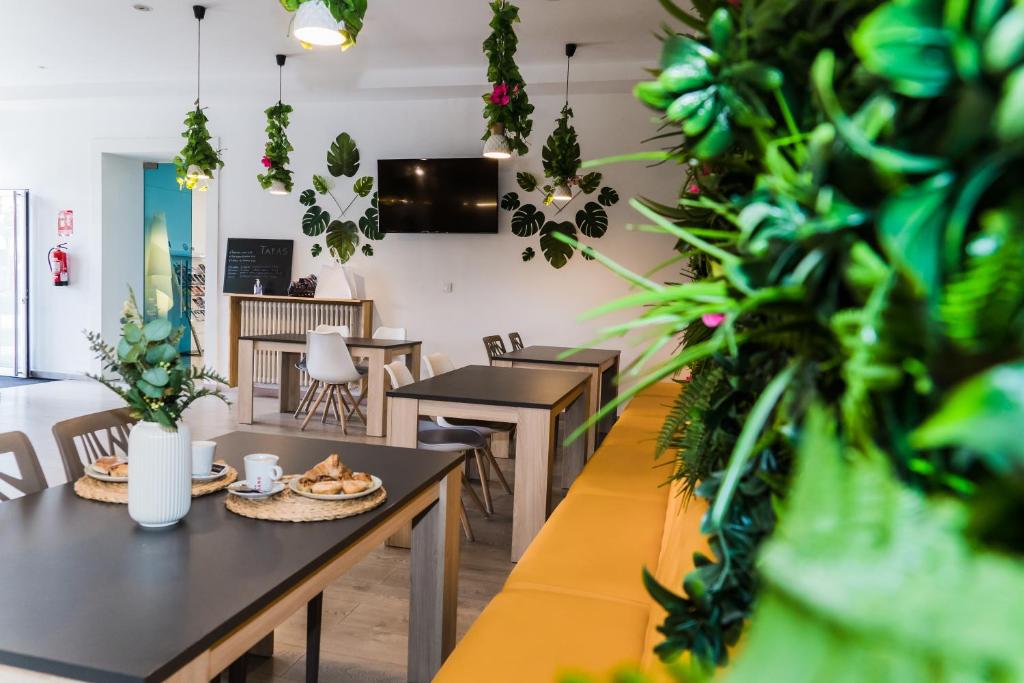 Televízia a/alebo spoločenská miestnosť v ubytovaní Hotel Planas