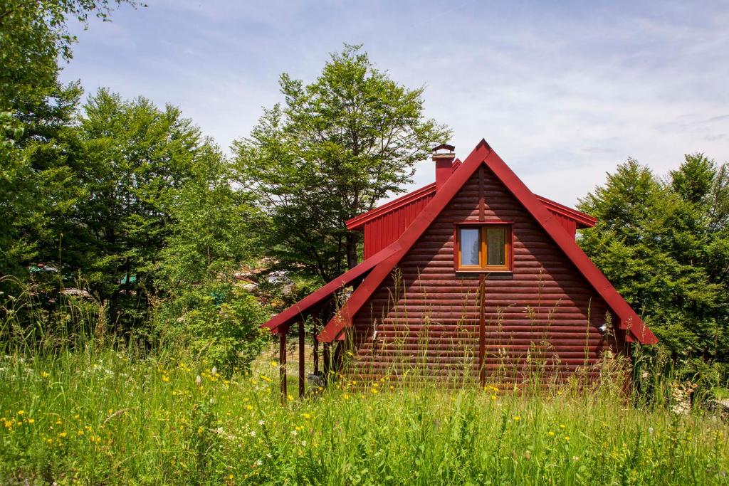 une petite maison rouge dans un champ d'herbe haute dans l'établissement D&S Kovacevic Apartments Zabljak, à Žabljak
