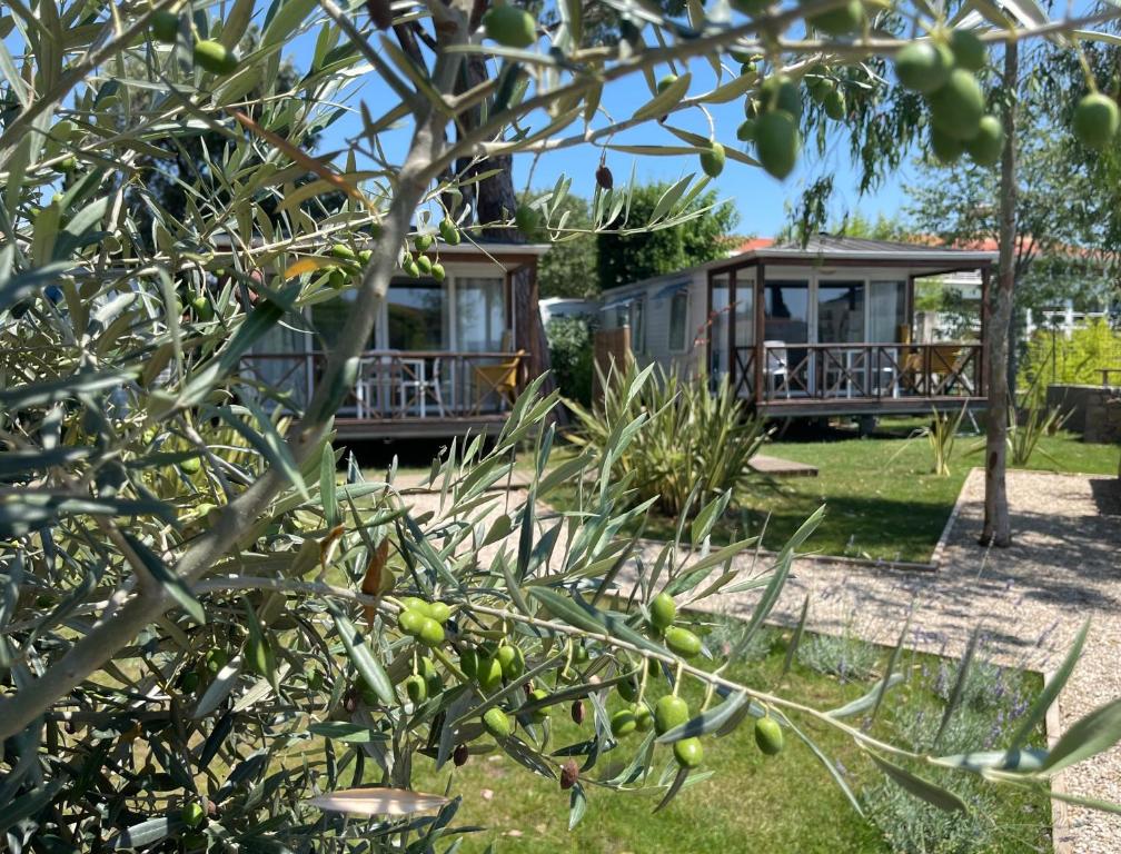 Gallery image of Camping Les Cigales in Mandelieu-La Napoule