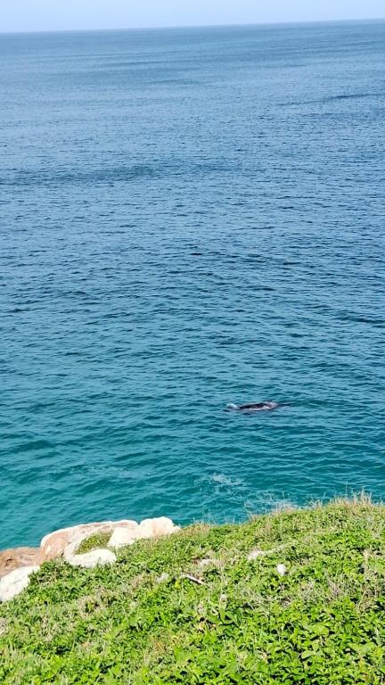 Pousada Canto da Baleia