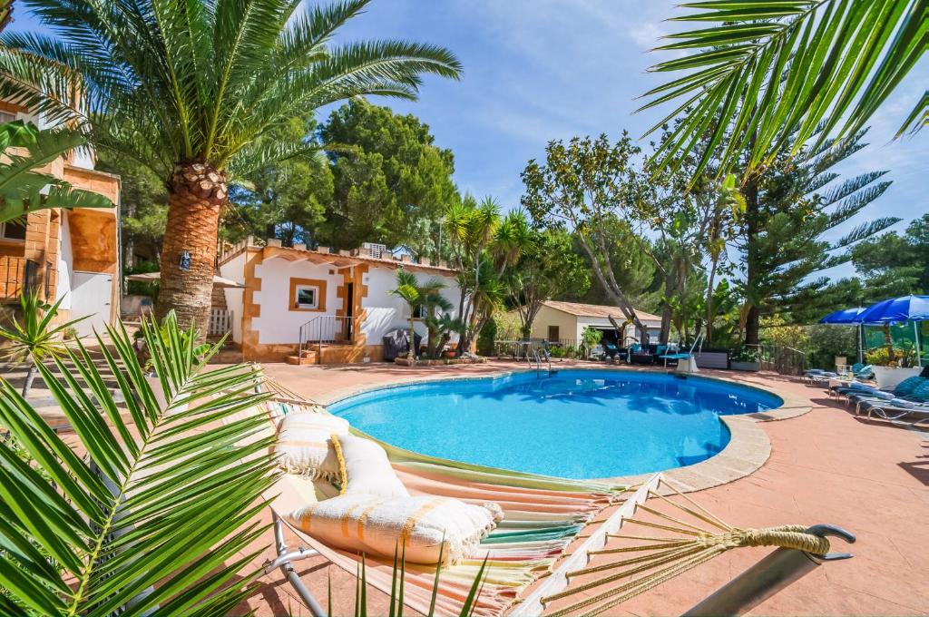 una piscina con sillas y una palmera en Ideal Property Mallorca - Sol de Mallorca 2, en Cala Mesquida
