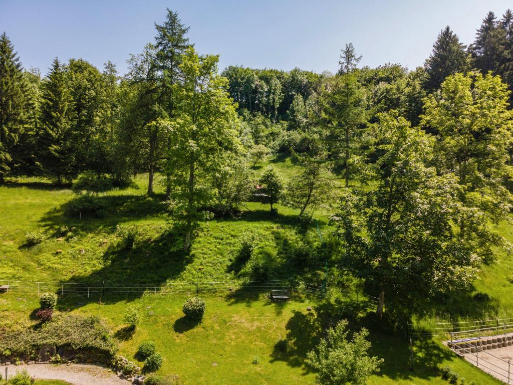 Zahrada ubytování Balzerberg