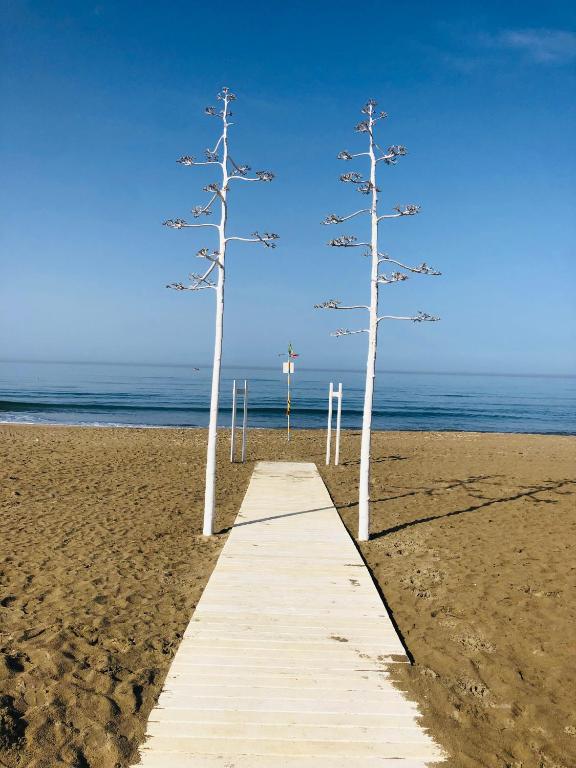 two trees on a sandy beach with a boardwalk at La Stella Sea House in Torvaianica