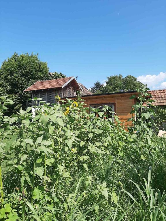Zahrada ubytování Morava Garden Resort