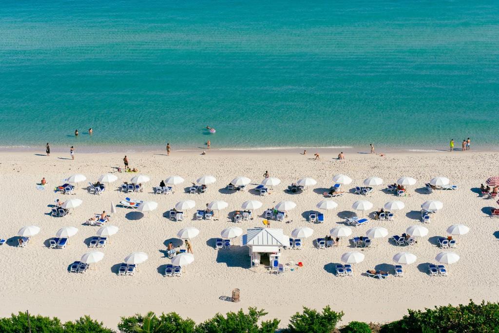 Monte Carlo Miami Beach في ميامي بيتش: مجموعة من المظلات والكراسي على الشاطئ