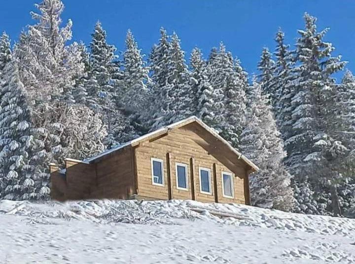 a small wooden cabin in the snow with trees at Daci Guesthouse 