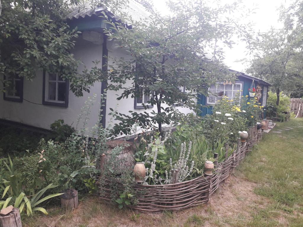 Zahrada ubytování Медова садиба