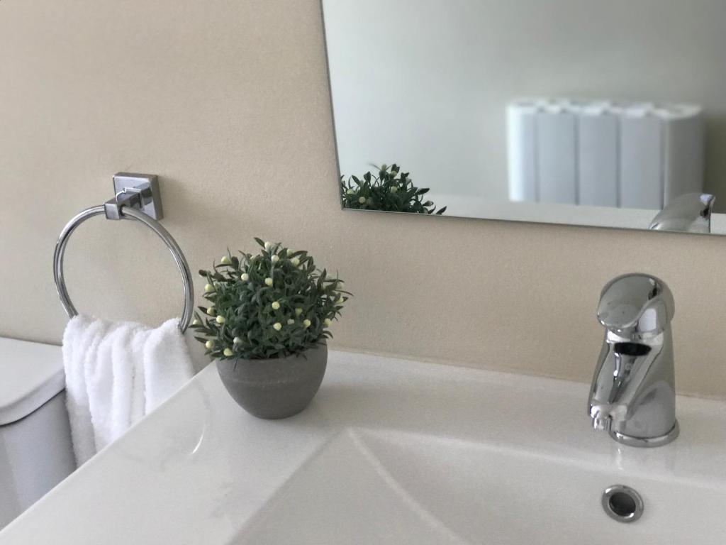 ein Badezimmer mit einem Waschbecken und einer Topfpflanze darauf in der Unterkunft VIVIENDA VACACIONAL "EL CANXILÓN" Situada en Lastres - Zona Oriente de ASTURIAS - Casa independiente - Terraza con vistas al mar a 800 m de la playa in Llastres