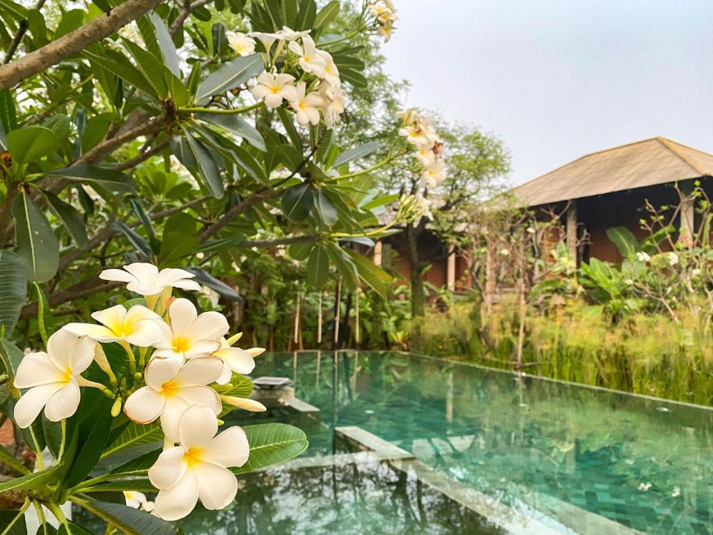 a pool with white flowers in front of a house at BaanSuk Sukhothai Resort in Sukhothai