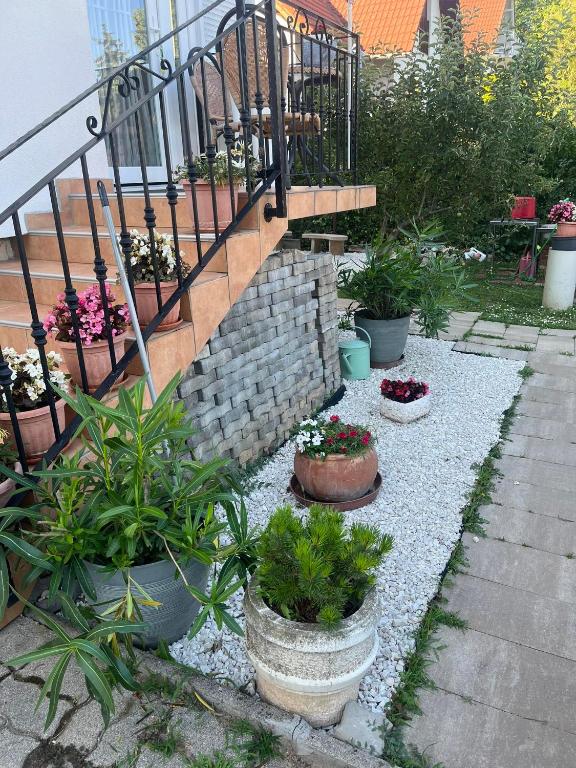 Vonkajšia záhrada v ubytovaní Rege apartman 2