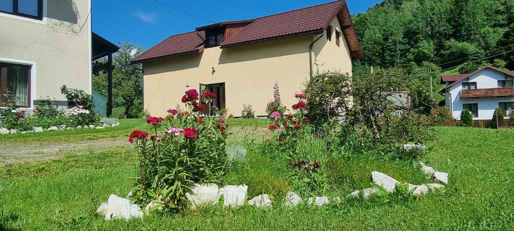 a garden in front of a house with flowers at Pensiunea ,,Suciu" in Răchiţele