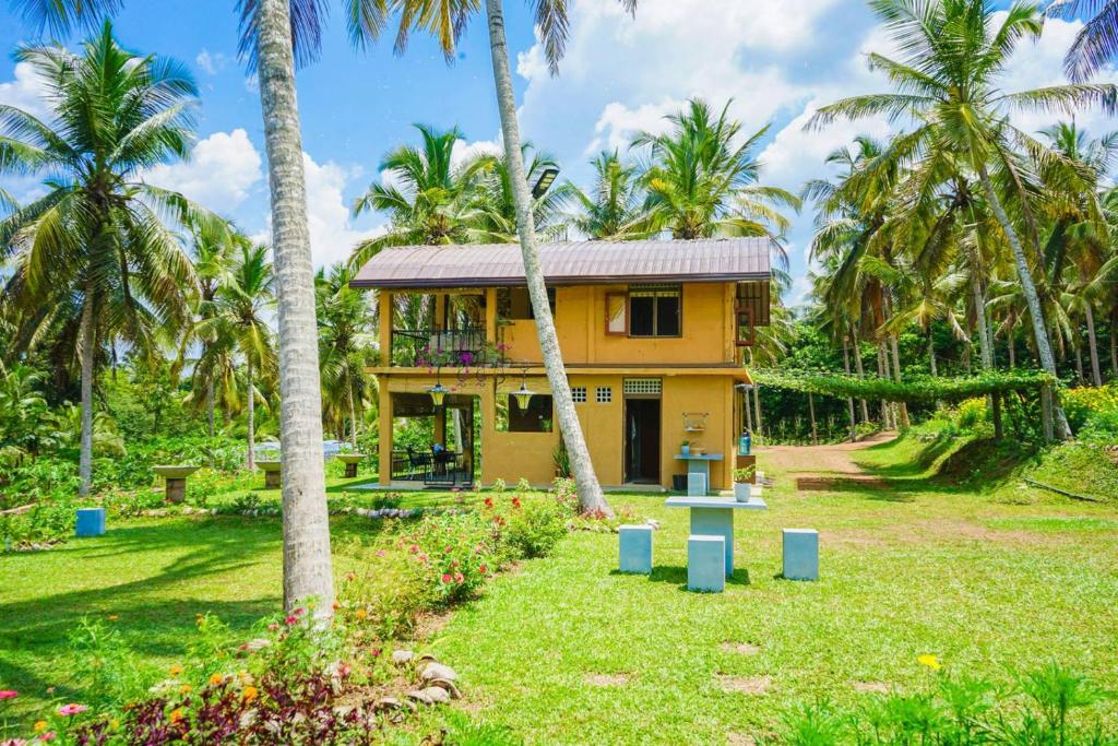 a yellow house with palm trees in front of it at Amandawa Eco in Gampaha