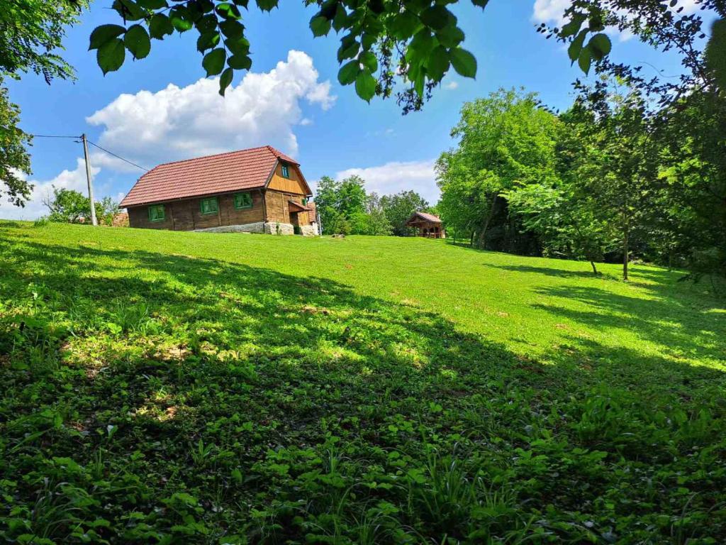 a house on a hill with a green field at Bakina iža in Duga Resa