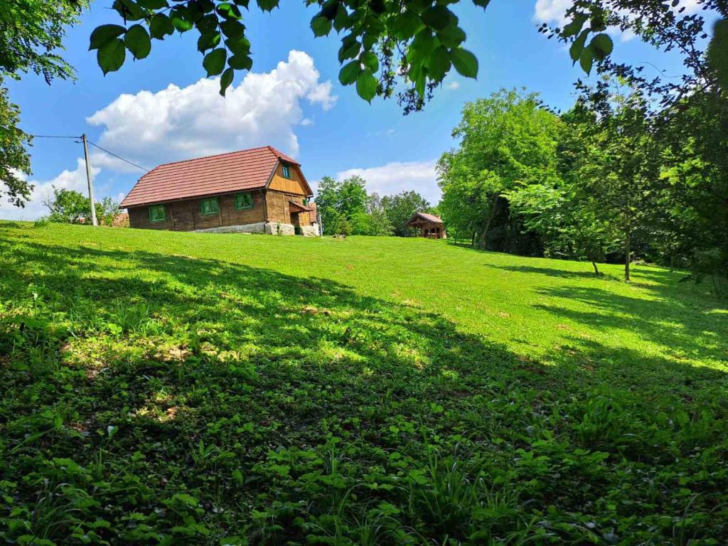 ein Haus auf einem Hügel mit einem grünen Feld in der Unterkunft Bakina iža in Duga Resa