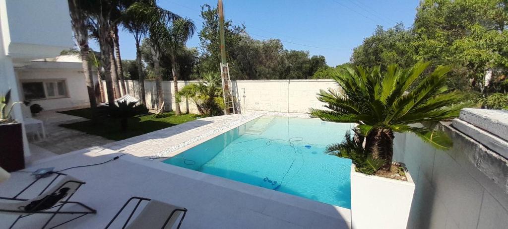 una piscina con una palmera junto a una casa en Villa Aria di sole en Francavilla Fontana