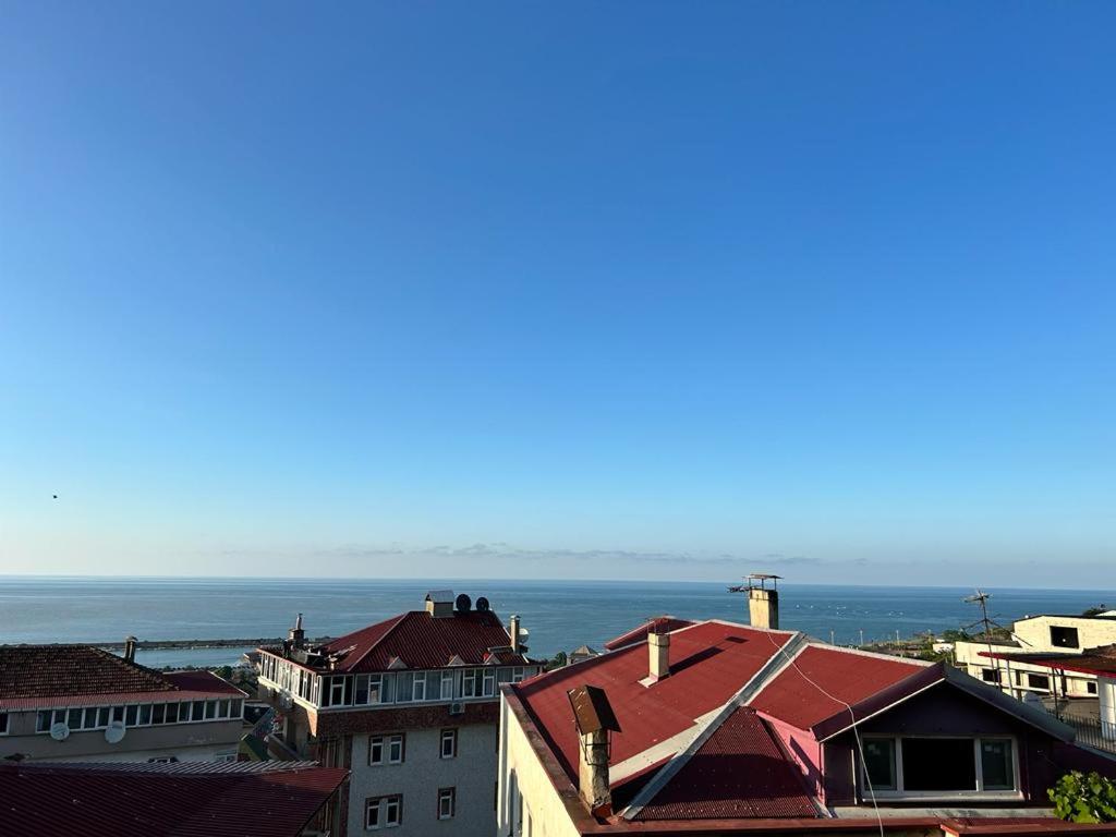 Příroda nedaleko aparthotelu