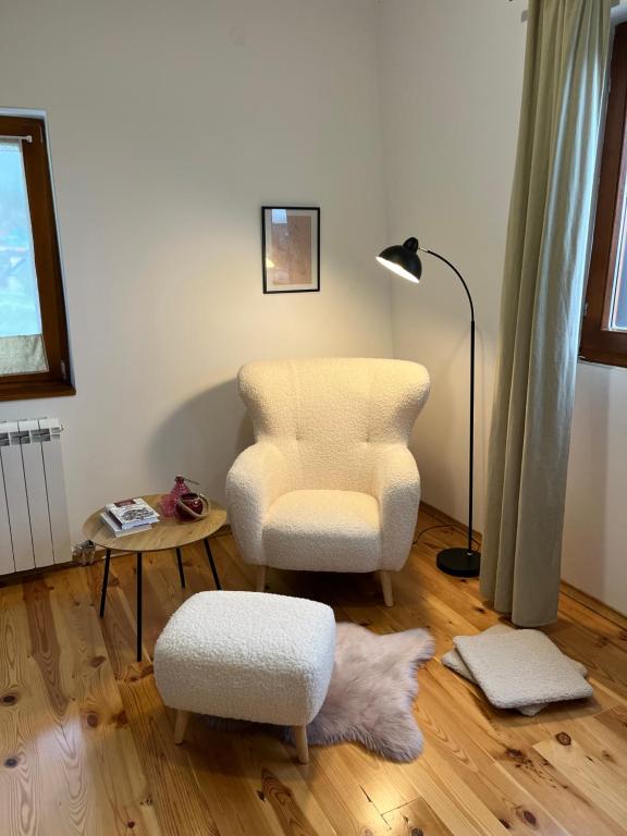 a living room with a chair and a lamp at Divine House in Žabljak