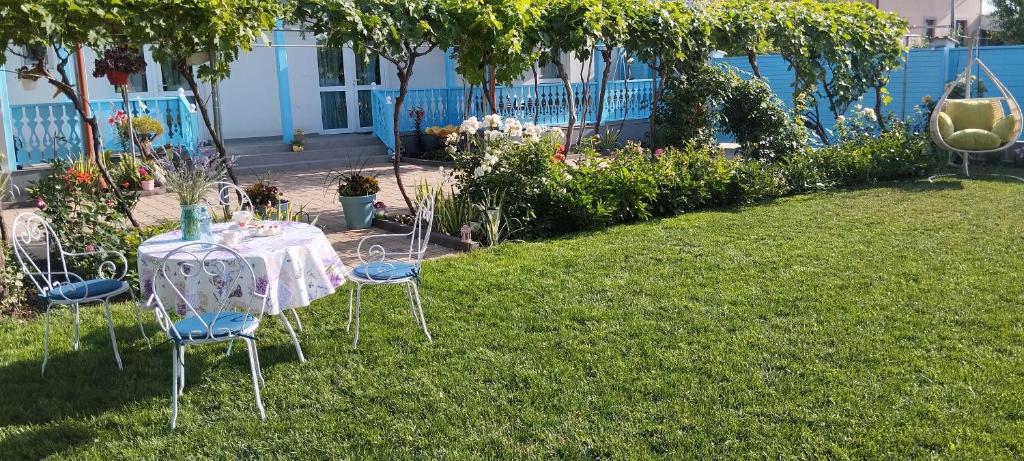 een tafel en stoelen in het gras in een tuin bij Agropensiune Caban in Jurilovca