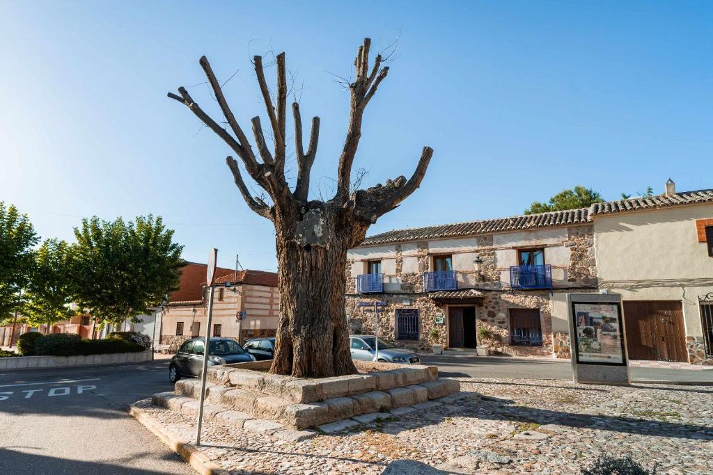 Une statue d'un arbre au milieu d'une rue dans l'établissement Casa Rural Álamo Grande, à Layos