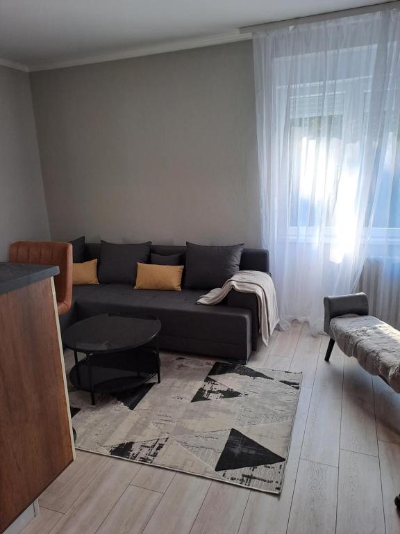 諾維薩德的住宿－Emili apartman，带沙发和地毯的客厅