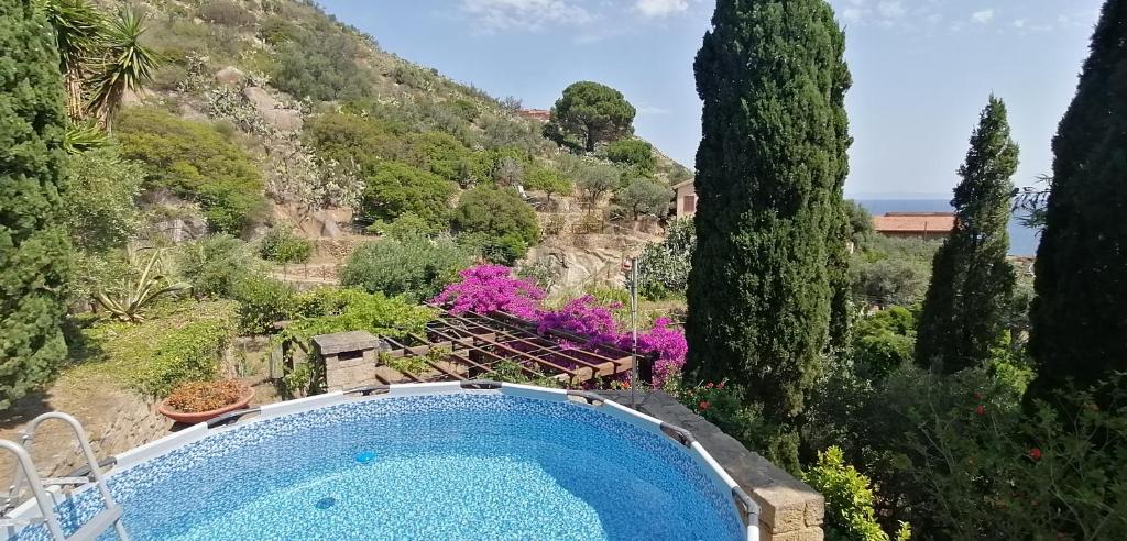 einen Pool in einem Garten mit Bäumen und einem Berg in der Unterkunft * * * Cypress Villa * * * {Free Parking} in Giglio Porto