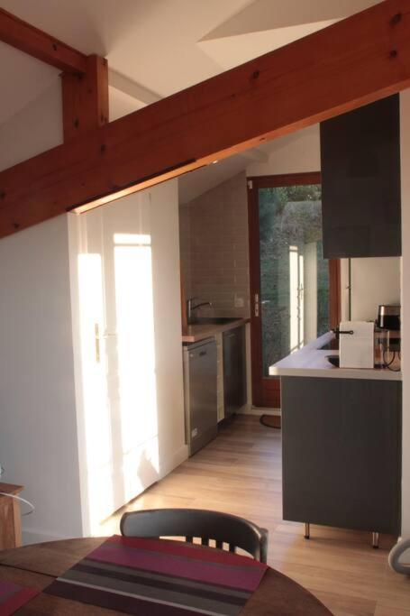 Kuchyňa alebo kuchynka v ubytovaní Aix les Bains Appartement 2p standing 40m2 avec jardin, parking, proche thermes