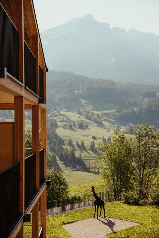 Příroda nedaleko hotelu