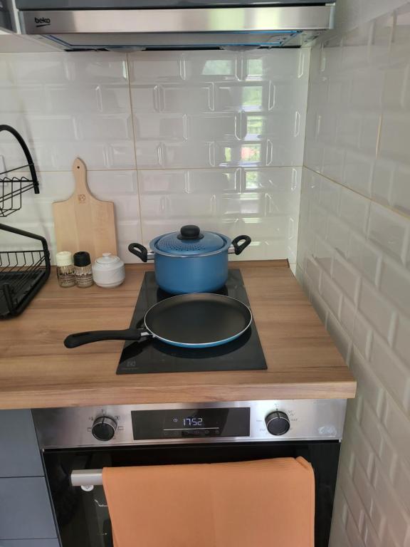 Kuchyň nebo kuchyňský kout v ubytování Novi Relax apartment
