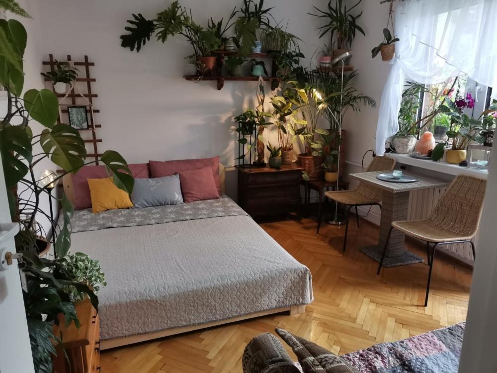 a bedroom with a bed and lots of plants at Instytut Zdrowia i Hortiterapii in Mrągowo
