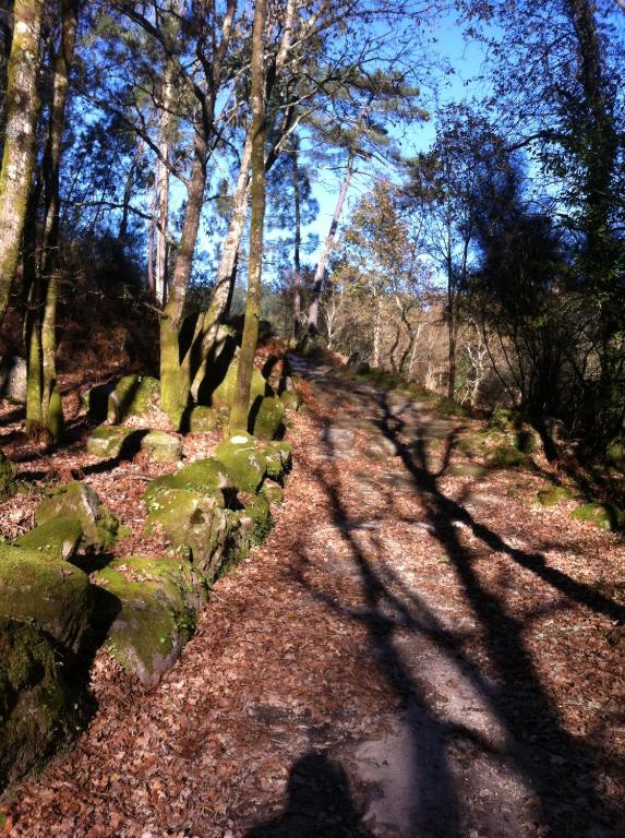 a trail in a wooded area with trees at CASA MARUXA pensión in Pontevedra
