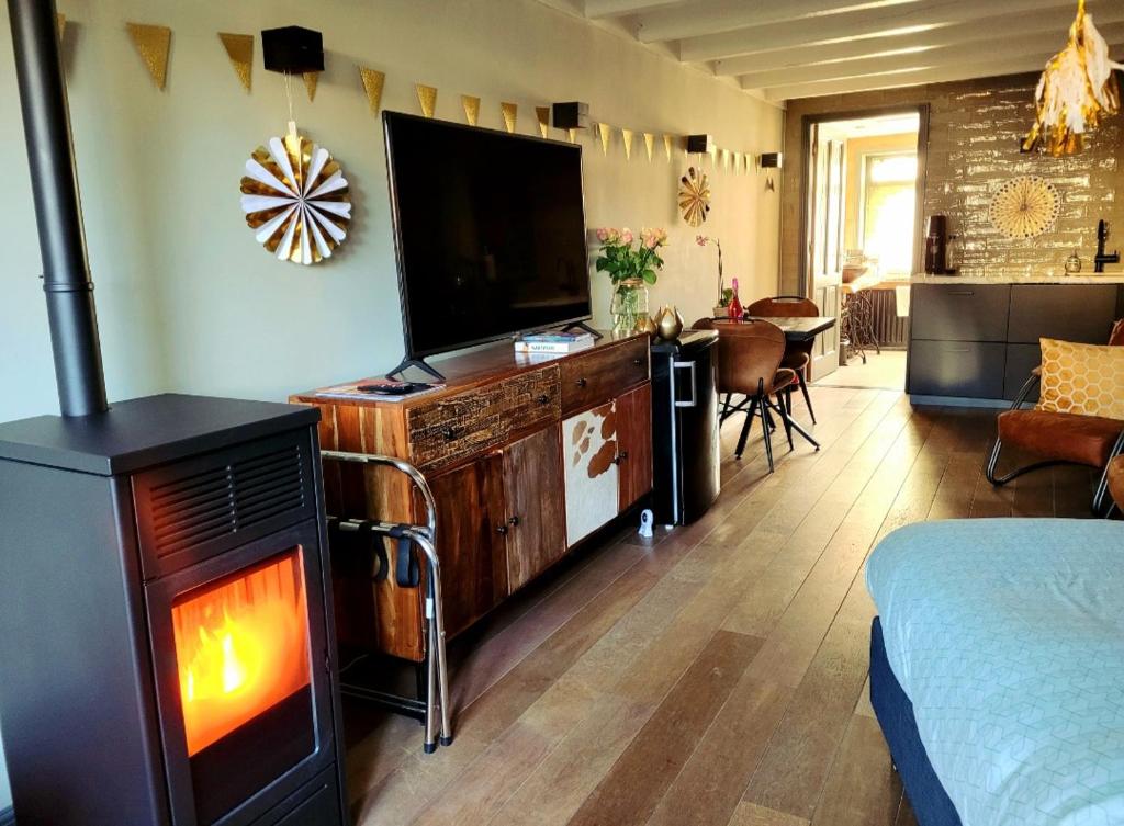 TV a/nebo společenská místnost v ubytování Guesthouse Het Gouden Eiland