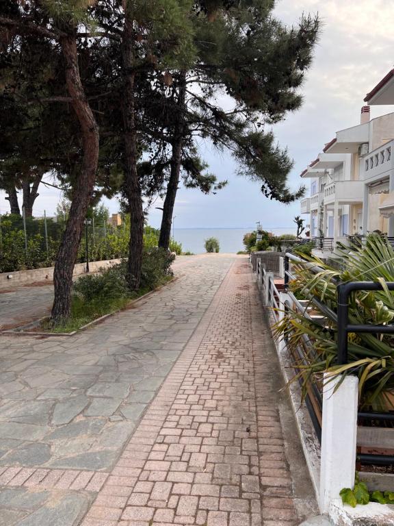 Příroda nedaleko apartmánu