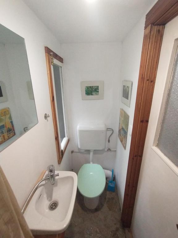 Baño pequeño con lavabo y aseo en Retreat în padure, en Buchin