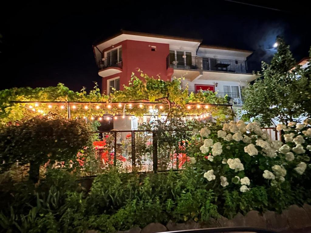 a house with a garden with lights and flowers at Amirov Garden in Kranevo