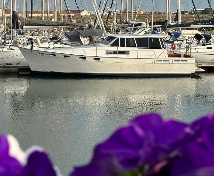 Boat Seadream - The Classic Yacht, Figueira da Foz, Portugal