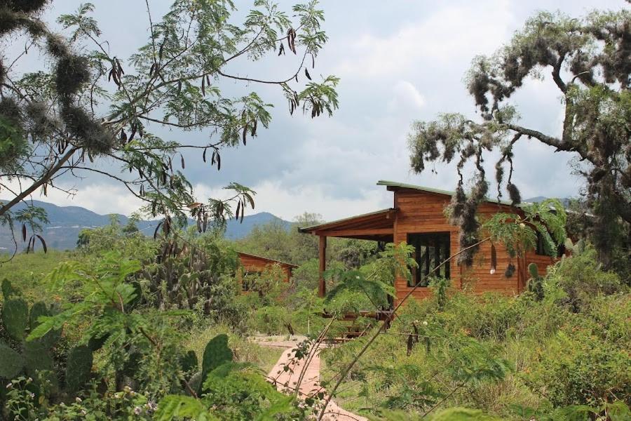 een houten huisje in het midden van een veld bij Cabañas Finca La Buganvilia in Sáchica