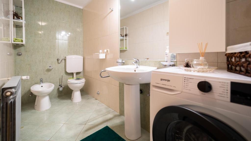 Koupelna v ubytování Apartmani Gruzdovo