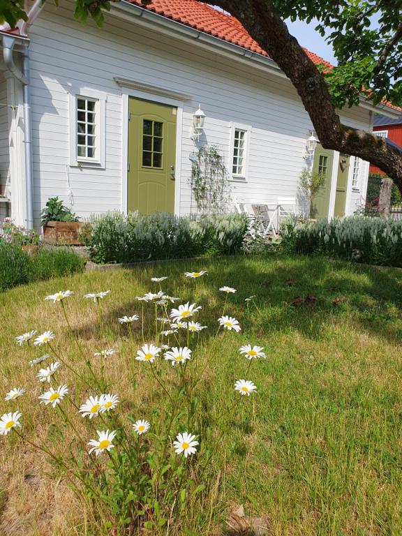 Zahrada ubytování Stenkullens gårdshus