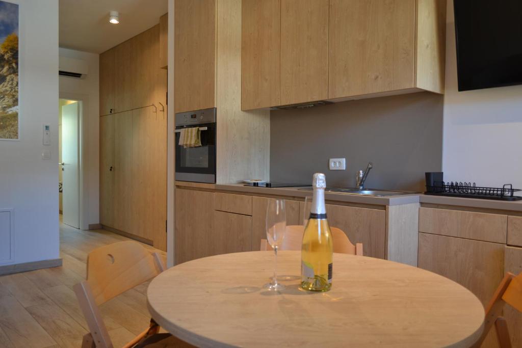 Kuchyň nebo kuchyňský kout v ubytování APARTMA VODNIK