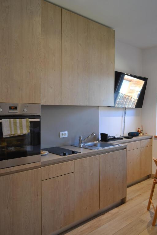 Kuchyň nebo kuchyňský kout v ubytování APARTMA VODNIK