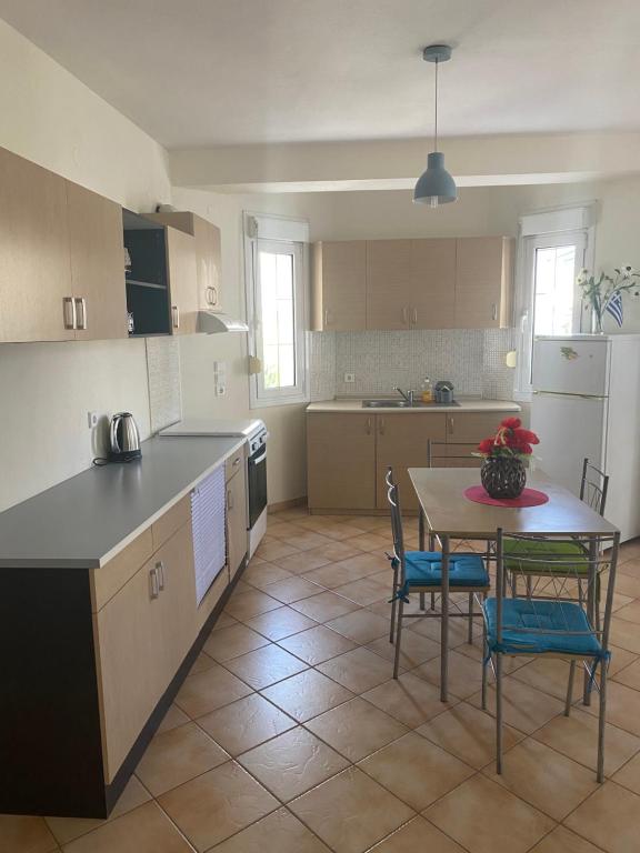 Kuchyň nebo kuchyňský kout v ubytování Kelesi Apartments