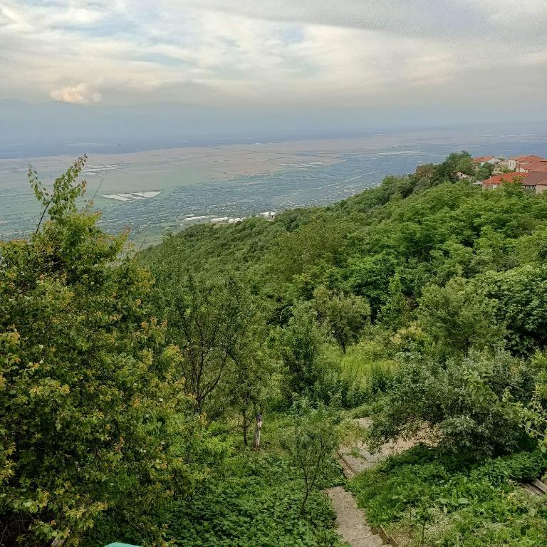 Příroda nedaleko penzionu
