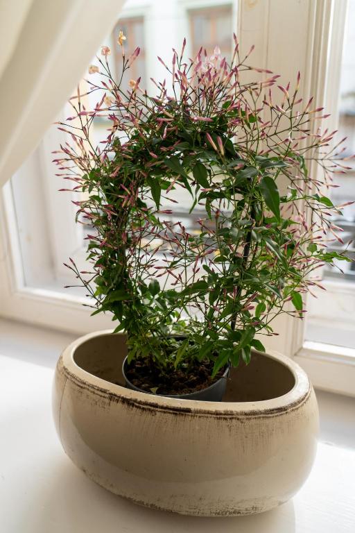 Aparthotel Karmel - Resim 34