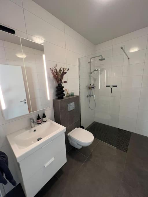 Un baño con inodoro, lavabo y ducha. en Golden Circle house 1, en Selfoss