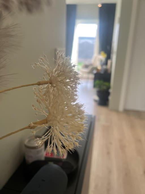 Imagen de la galería de Golden Circle house 1, en Selfoss