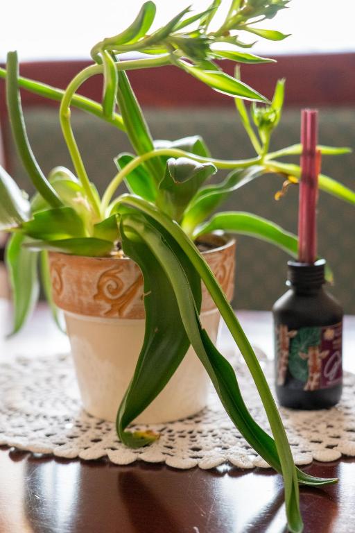 Aparthotel Karmel - Resim 23