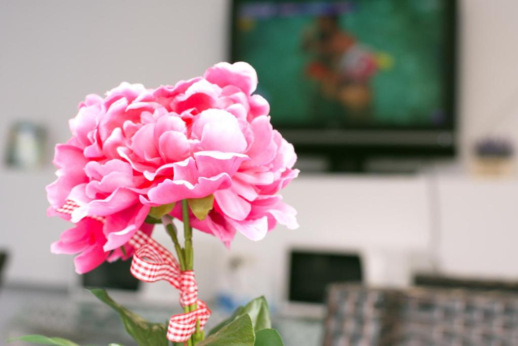 TV a/nebo společenská místnost v ubytování Vila Jasp
